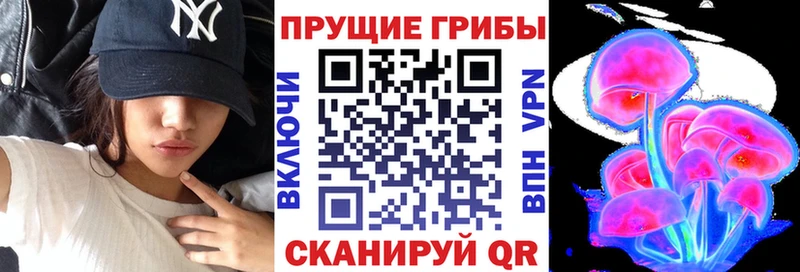 мориарти формула  Сясьстрой  Галлюциногенные грибы MAGIC MUSHROOMS  кракен tor 