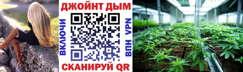 МАРИХУАНА план Сясьстрой